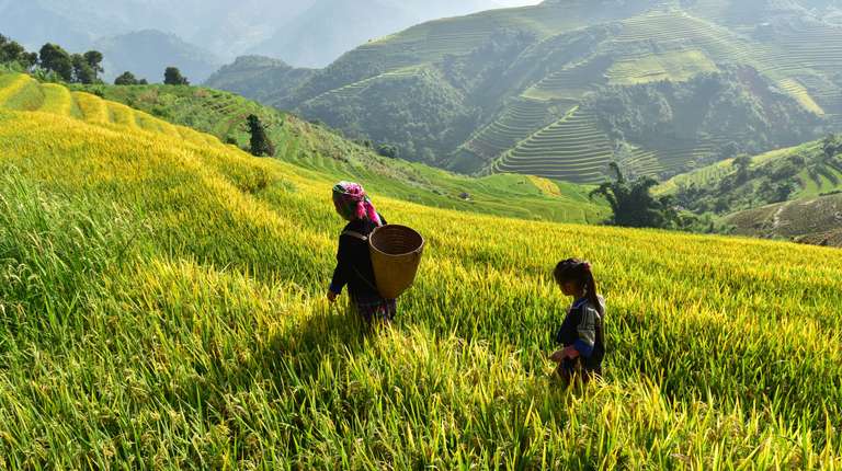 Hanoi Countryside and village visits Tour: 8-Day Vietnam's Mountains and Seaside Melody Expedition 