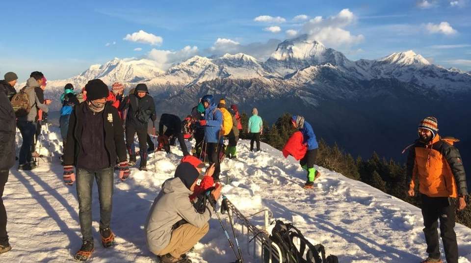 8 Days Annapurna Panorama with Poonhill Trek - Nepal Lion Tours And Treks Pvt Ltd - Nepal - Image 1