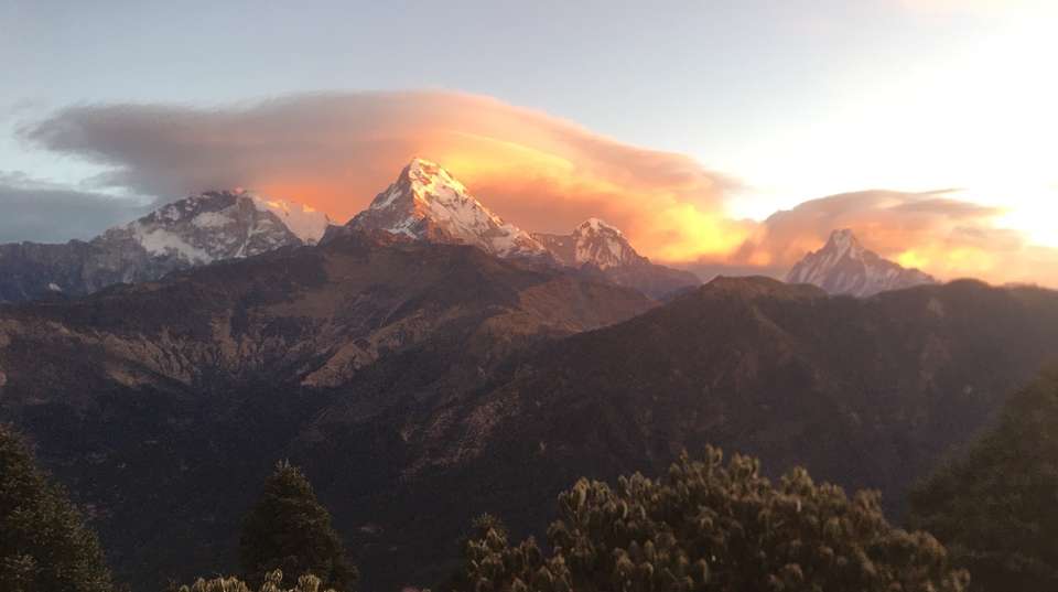 8 Days Annapurna Panorama with Poonhill Trek - Nepal Lion Tours And Treks Pvt Ltd - Nepal - Image 3