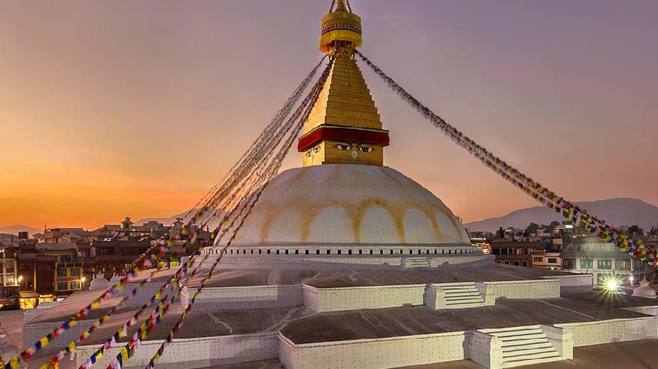 8 Days Annapurna Panorama with Poonhill Trek - Nepal Lion Tours And Treks Pvt Ltd - Nepal - Image 5