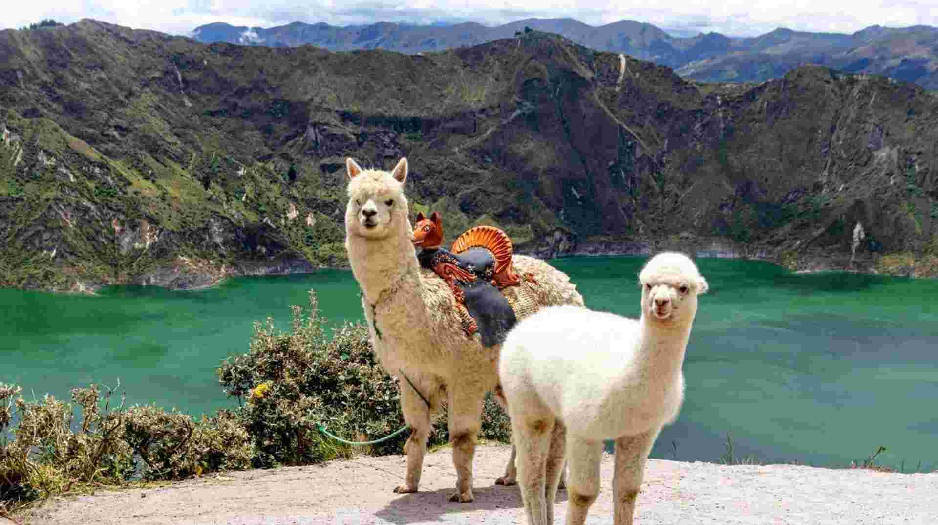 8 Days Ecuador: From Highlands to Hot Springs