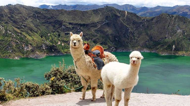8 Days Ecuador: From Highlands to Hot Springs - 8 days