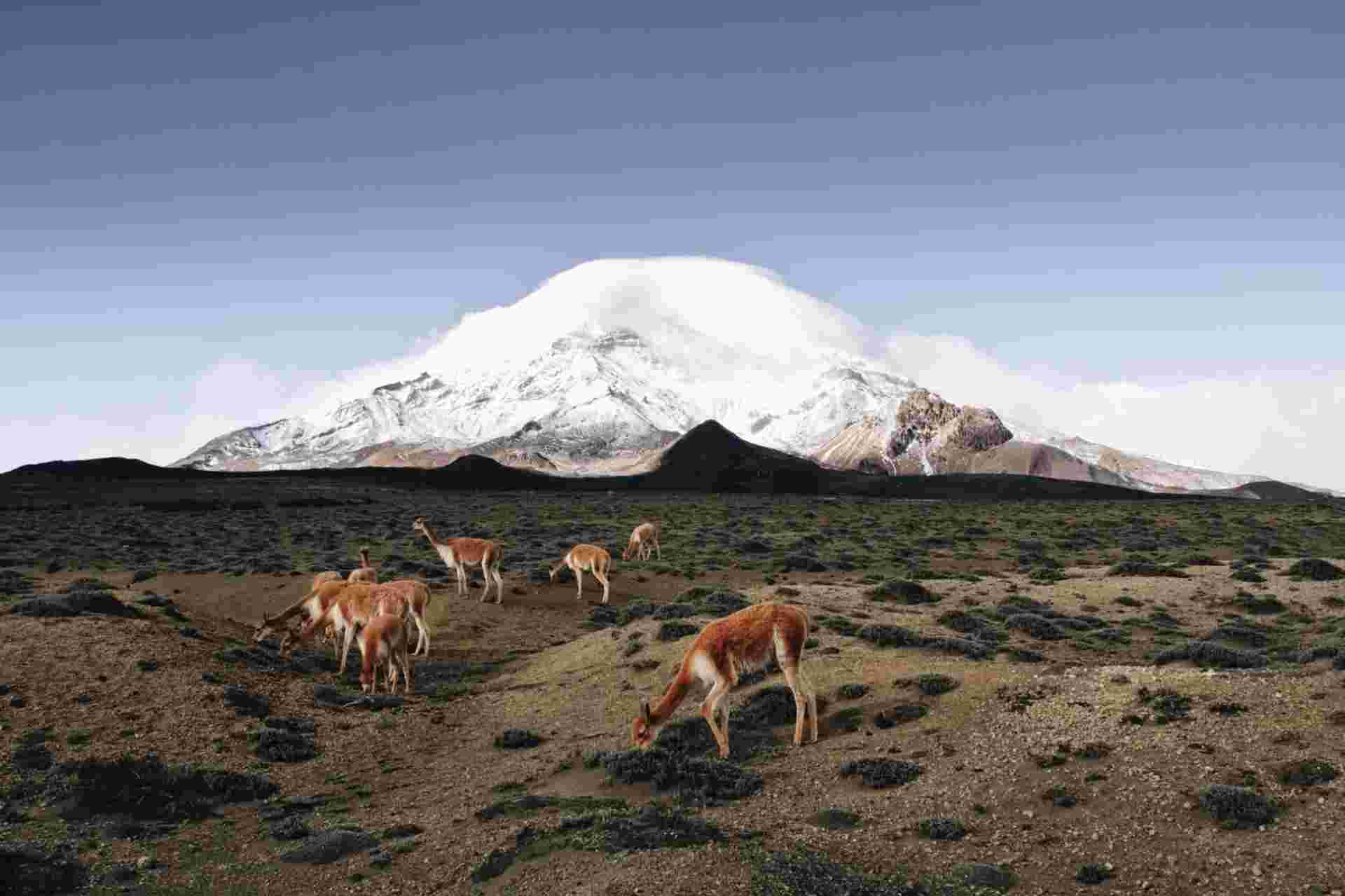 8 Days Ecuadorian Andes & Coastal Escape: Cotopaxi, Quilotoa, Baños, Chimborazo, Ingapirca, Cajas & Guayaquil, Private Tour