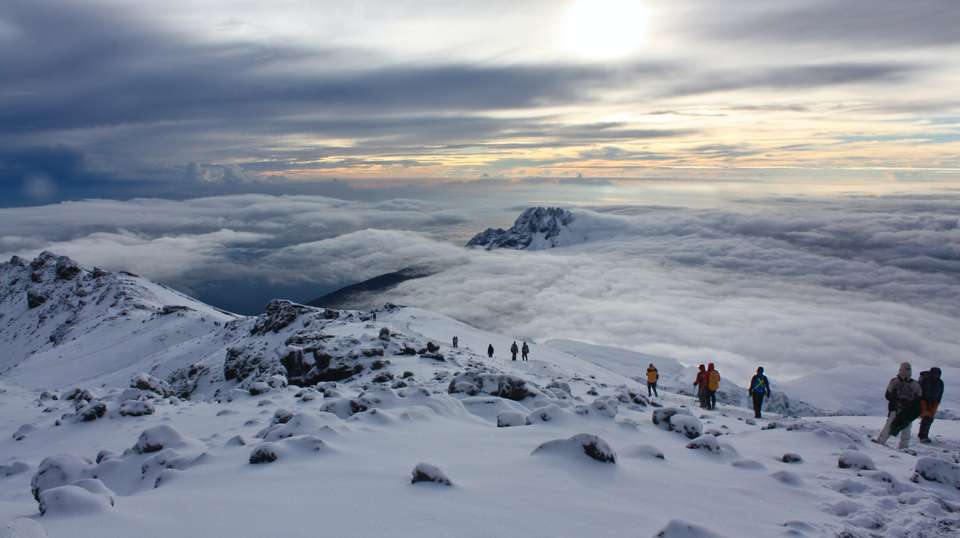 8 Days Mount Kilimanjaro Climbing Lemosho Route - Aardvark Expeditions Limited - Tanzania - Image 4