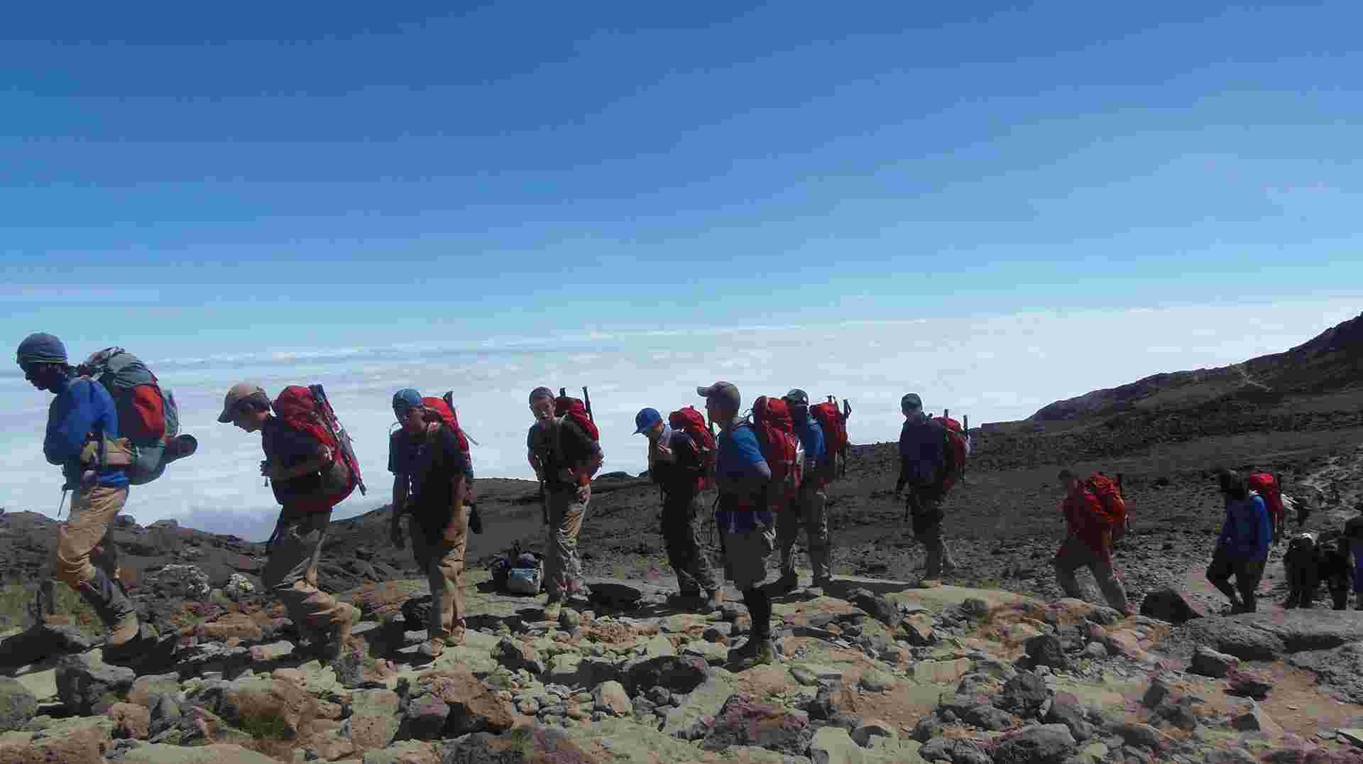 8 Days Mount Kilimanjaro Trekking - Lemosho Route