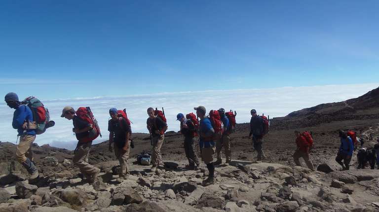8 Days Mount Kilimanjaro Trekking - Lemosho Route trip - alternative tour available