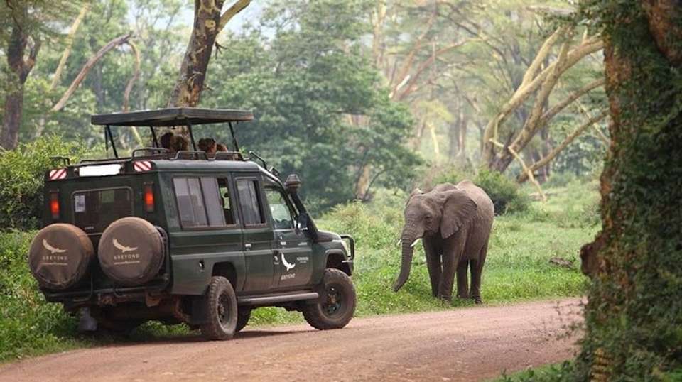 8-Day Best of Tanzania Wildlife Lodge Safari - Gracepatt Ecotours Kenya - Tanzania - Image 3