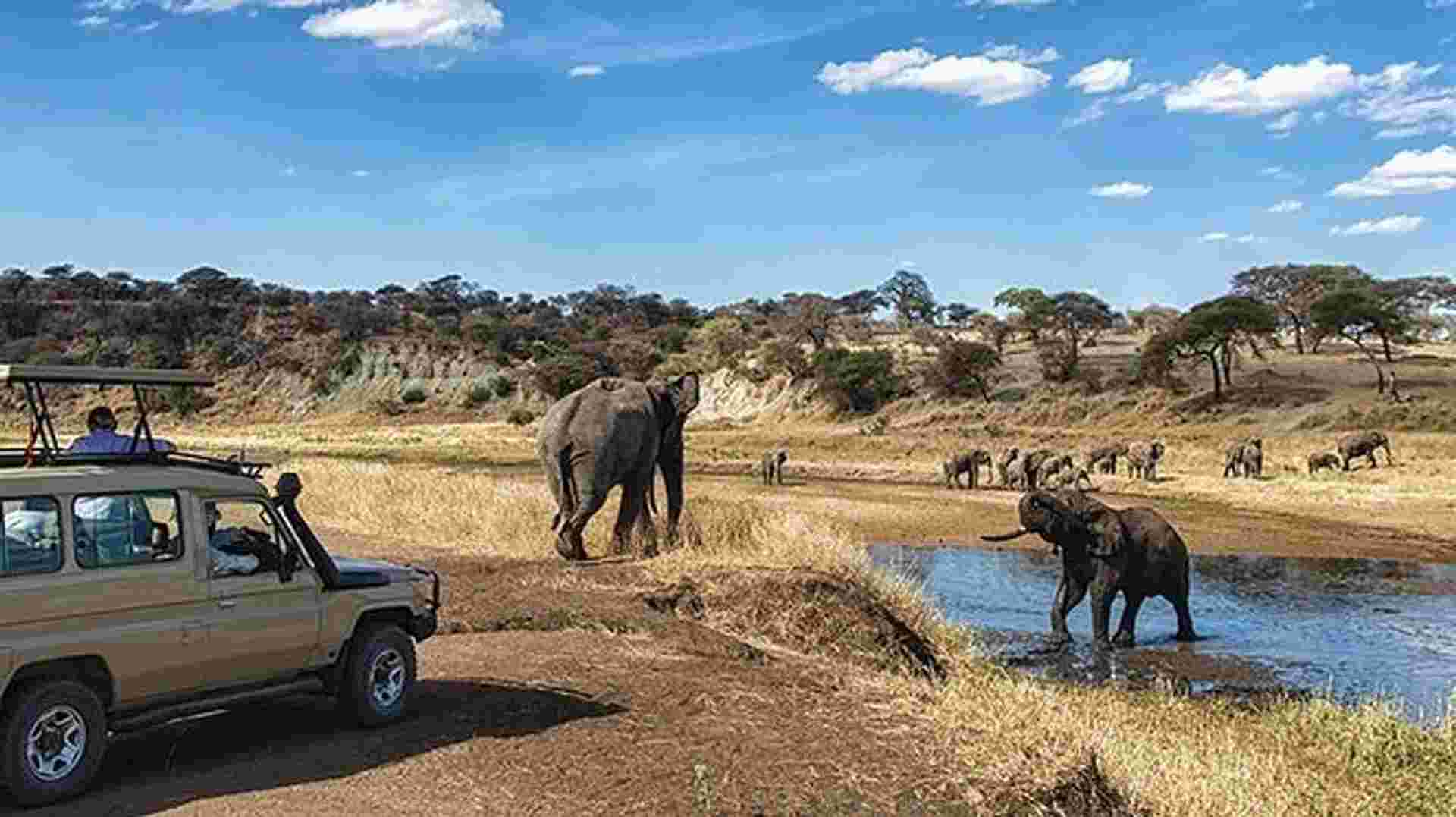 8-Day Best of Tanzania Wildlife Lodge Safari