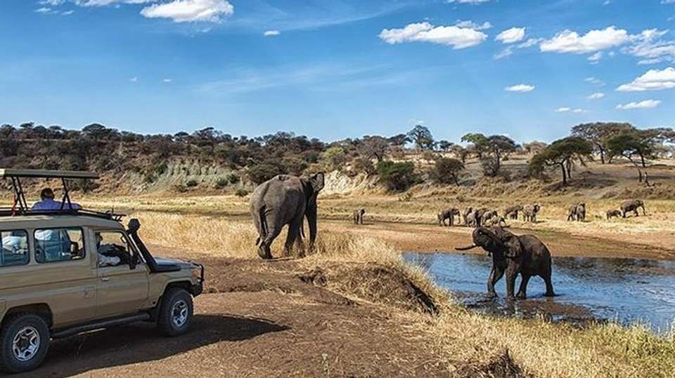 8-Day Best of Tanzania Wildlife Lodge Safari - Gracepatt Ecotours Kenya - Tanzania - Image 1