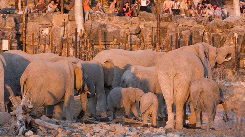 9 Day Etosha & Private Reserve Game Viewing Self-Drive - Chameleon Holidays - Namibia - Image 3