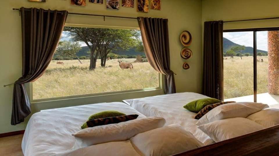 9 Day Etosha & Private Reserve Game Viewing Self-Drive - Chameleon Holidays - Namibia - Image 5