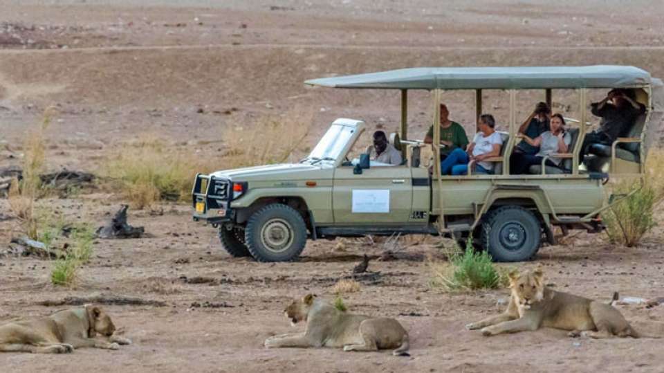 9 Day Etosha & Private Reserve Game Viewing Self-Drive - Chameleon Holidays - Namibia - Image 8
