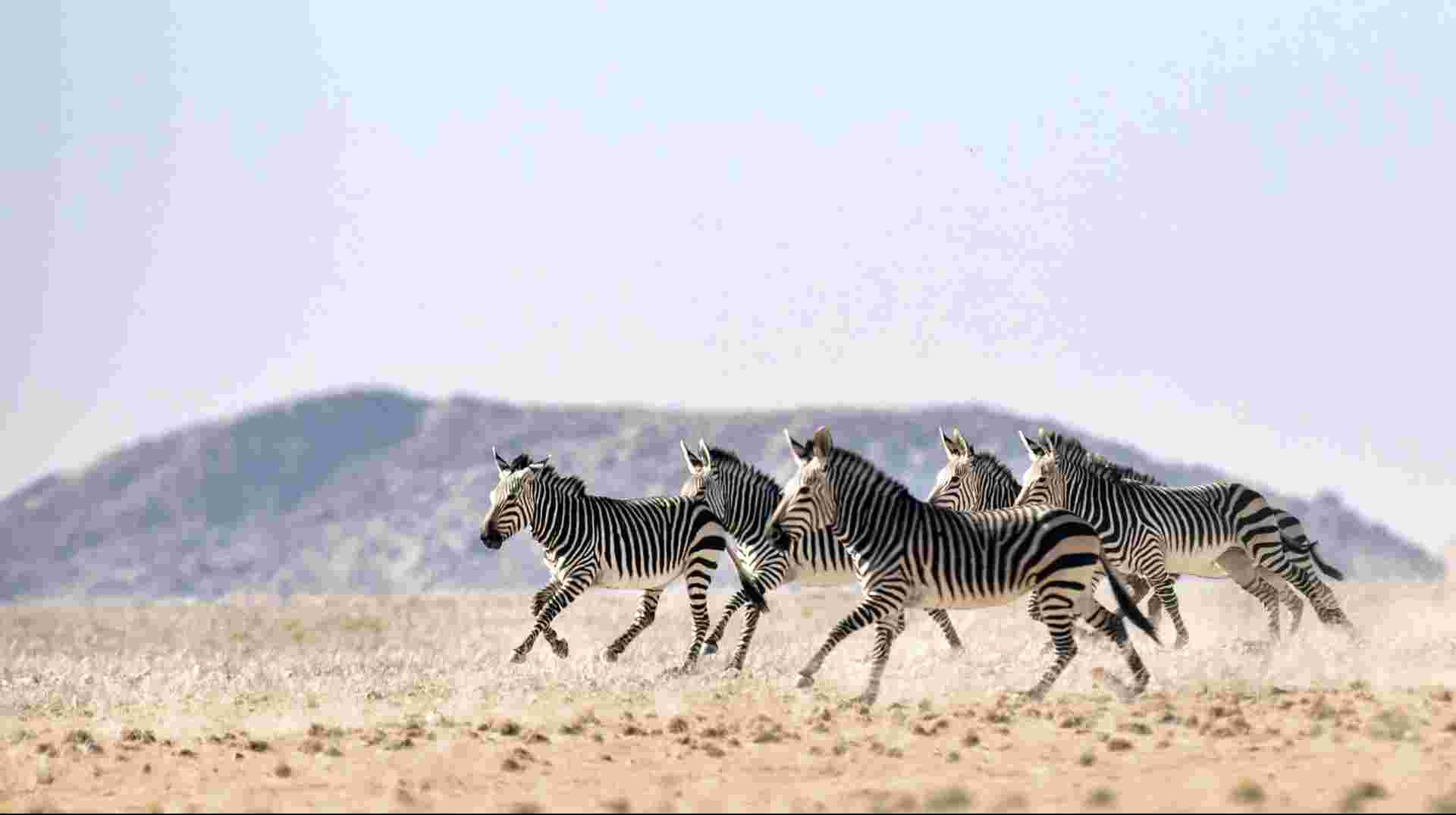 9 Day Etosha & Private Reserve Game Viewing Self-Drive 