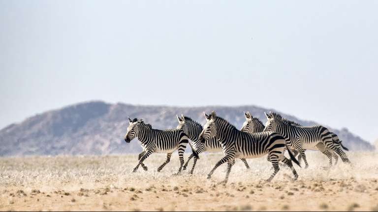 9 Day Etosha & Private Reserve Game Viewing Self-Drive  - October 2025