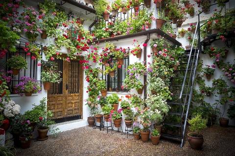 9 Day Guided Tour Andalusia And Mediterranean Coast From Lisbon - February 2026