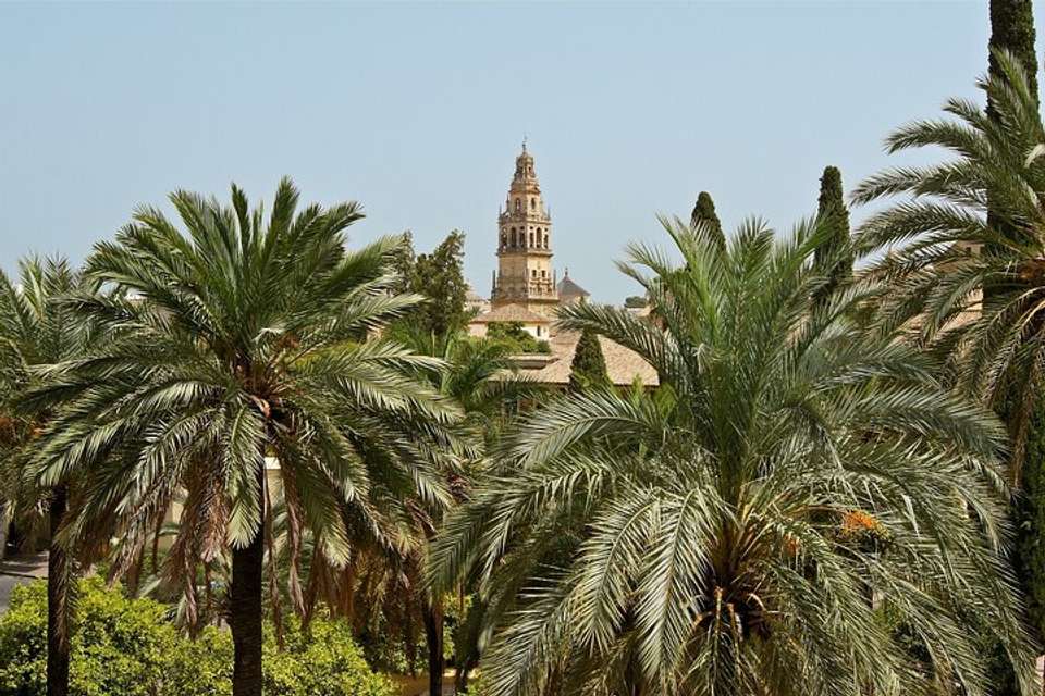 9 Day Guided Tour Andalusia And Mediterranean Coast From Madrid (c-692) - Vpt Tours - Spain - Image 5
