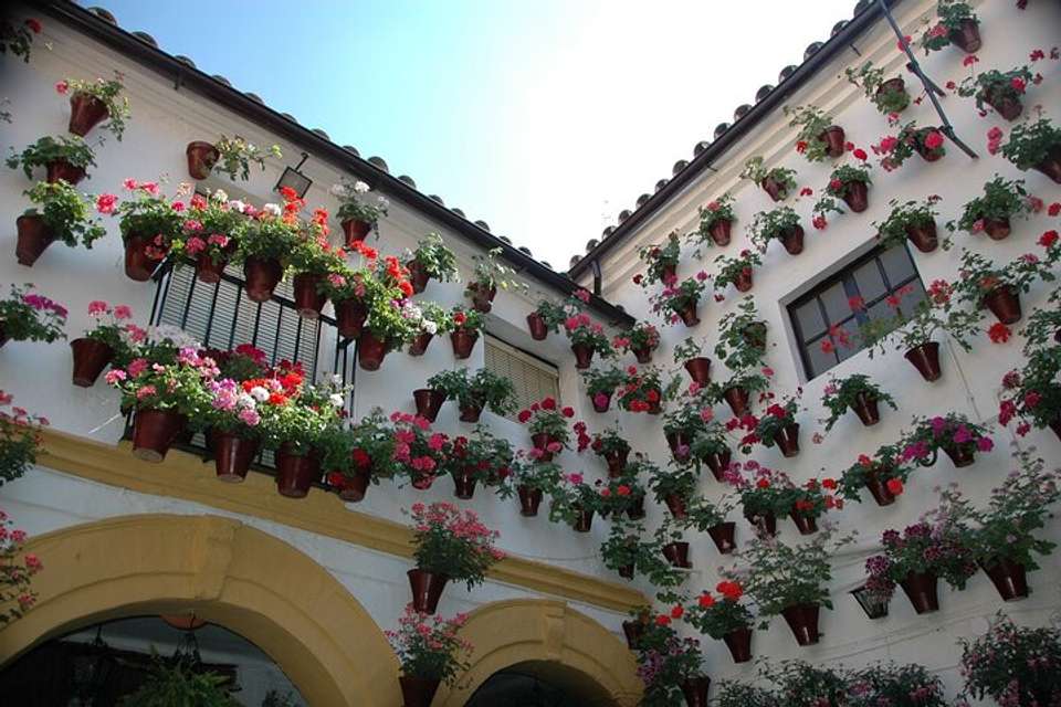 9 Day Guided Tour Andalusia And Mediterranean Coast From Madrid (c-692) - Vpt Tours - Spain - Image 6