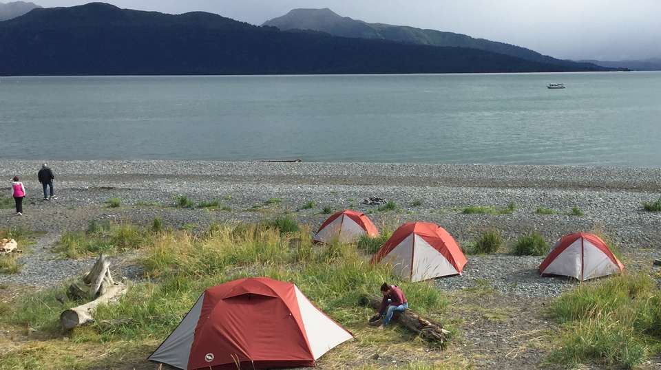 9-Day Kenai Alaska Adventure - Infinite Adventures - USA - Image 4