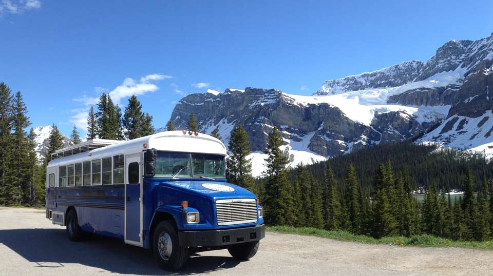 9-Day Kenai Alaska Adventure - Infinite Adventures - USA - Image 7