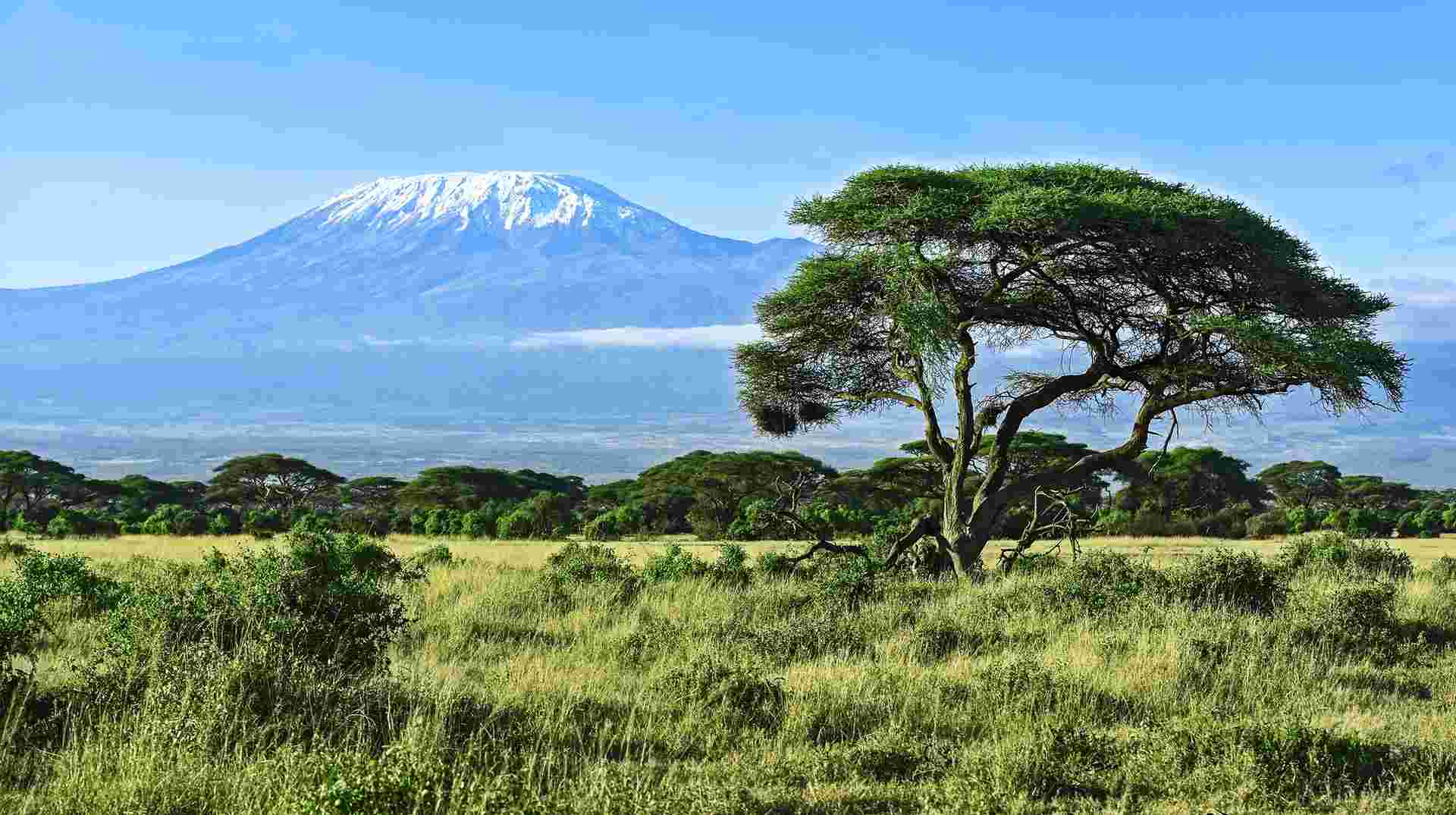 9-Day Mt Kilimanjaro Climb (Lemosho Route)