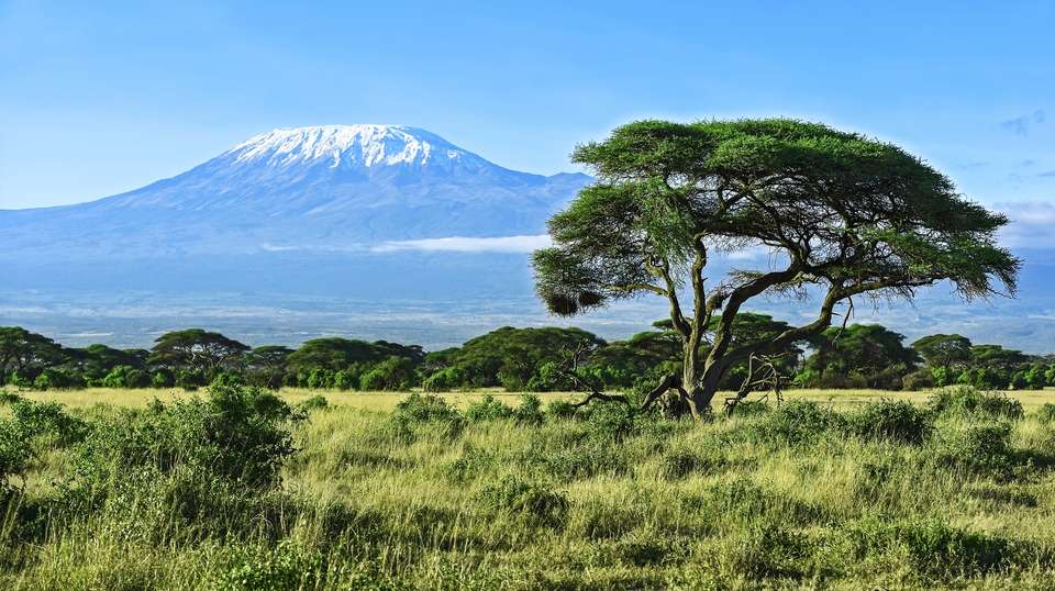 9-Day Mt Kilimanjaro Climb (Lemosho Route) - Gosheni Safaris Africa - Tanzania - Image 1