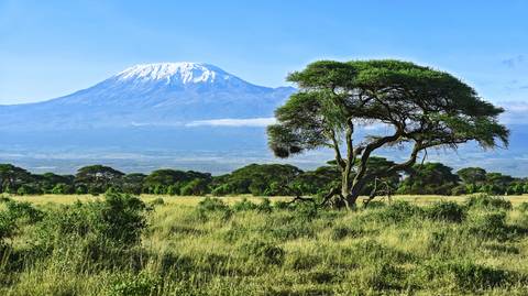 9-day Mt Kilimanjaro Climb (lemosho Route) - Fall Tours