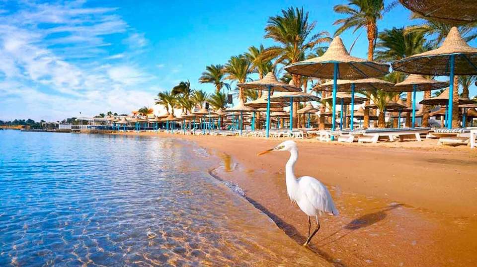 9 Day Nile Jewel (Cairo, Cruise,Hurghada) Superior hotels - undefined - Image 9