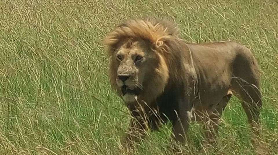 9-Day Tanzania Safari & Beach Holiday - Safaribook - Tanzania - Image 3