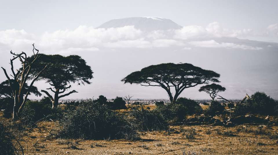 9 Days Samburu, Nakuru, Masai Mara,Amboseli - Sir Michaels Tours And Safaris - Kenya - Image 2