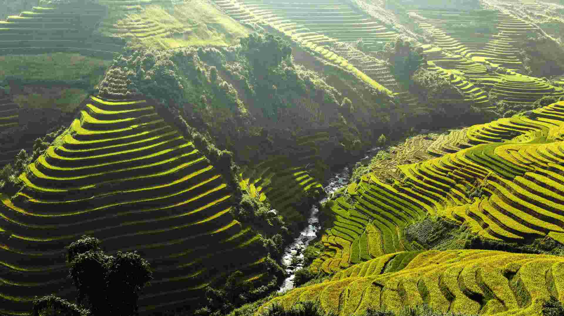 A 14-Day Vietnam Highlights Journey