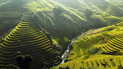 A 14-day Vietnam Highlights Journey - January 2027