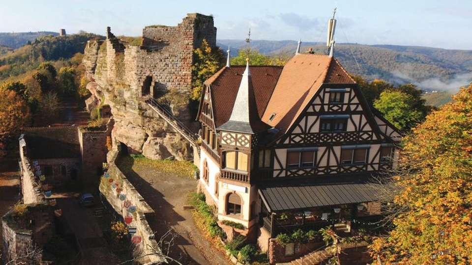 A Charming Cruise through Alsace and Lorraine along the Marne-Rhine Canal (port-to-port cruise) - Tweet World Travel - France - Image 3