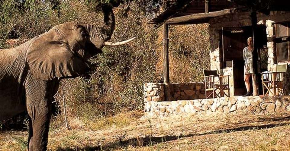 A Classic 6 Day Safari of Tanzania Wildlife and Nature - Dahlia Africa - Tanzania - Image 6