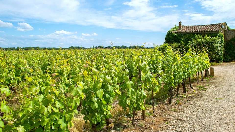 A cruise in Aquitaine : the great wines of Southern France (port-to-port cruise) - Tweet World Travel - France - Image 2