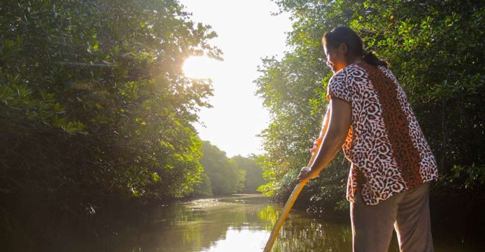 A Day in the Mangrove Forest – Exploration and Snorkeling - Nice Tour Bali - Indonesia - Image 3