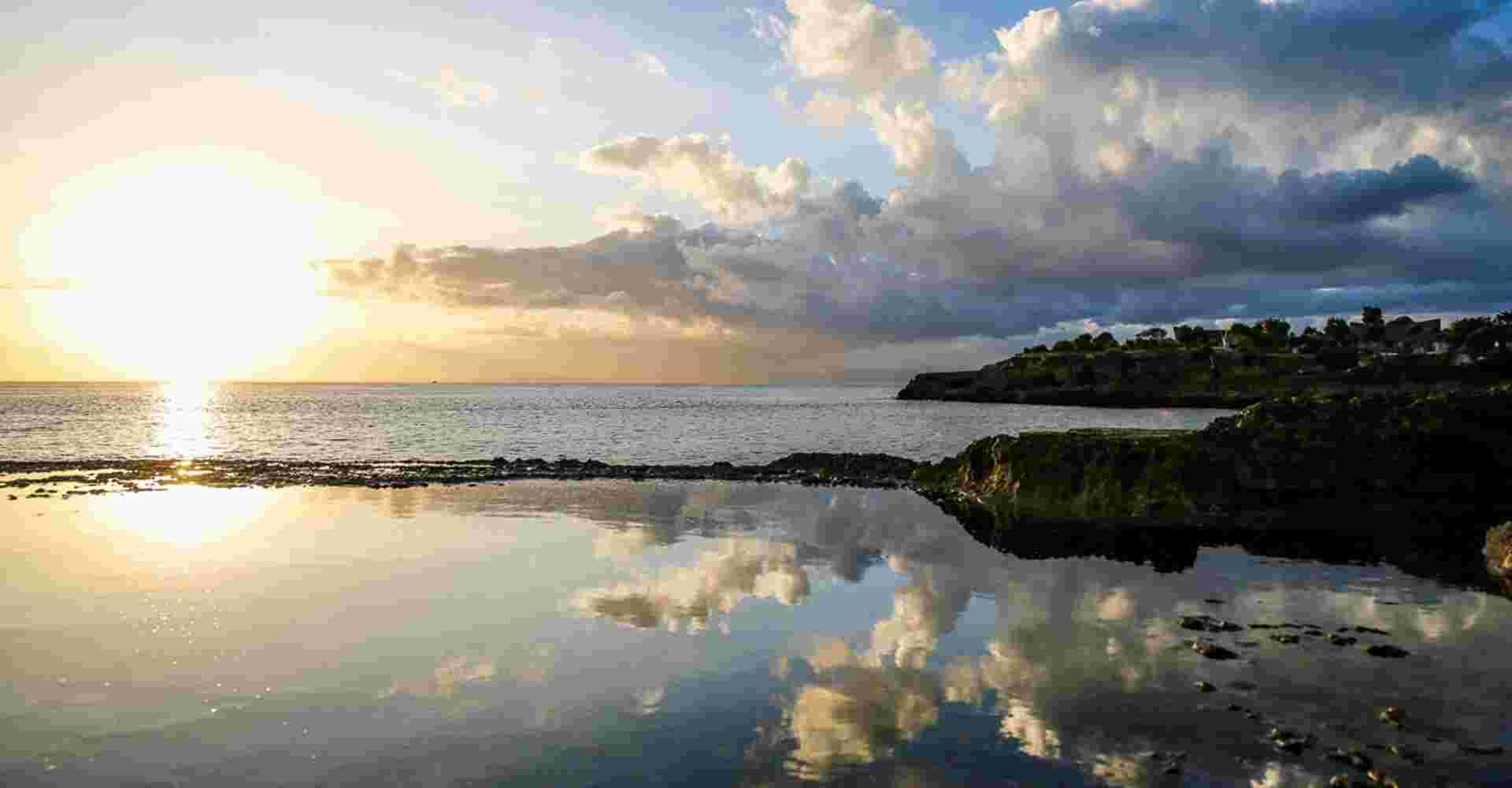 A Day in the Mangrove Forest – Exploration and Snorkeling