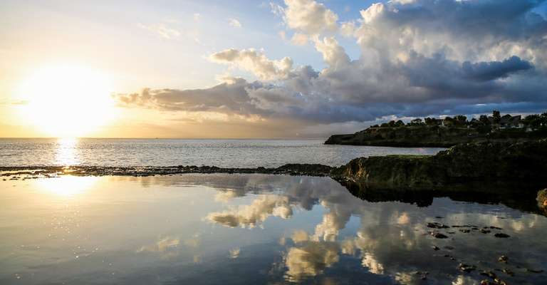 A Day in the Mangrove Forest – Exploration and Snorkeling trip - alternative tour available