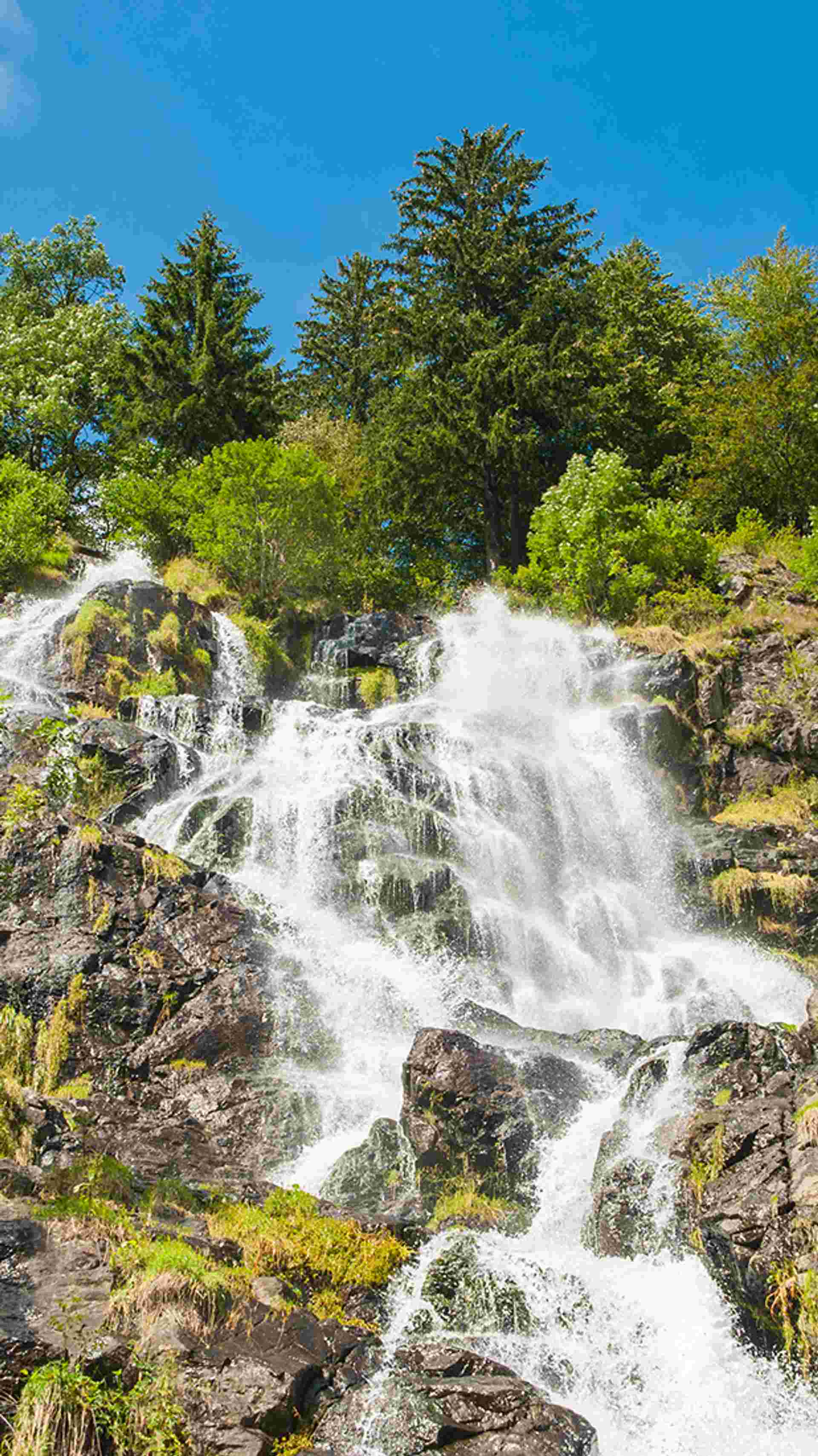 A Journey through Germany