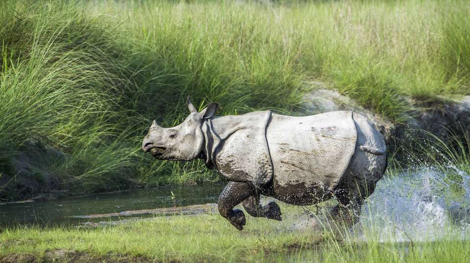 Nepal Adventure & Culture Tour - Travel Max Guide - Nepal - Image 6