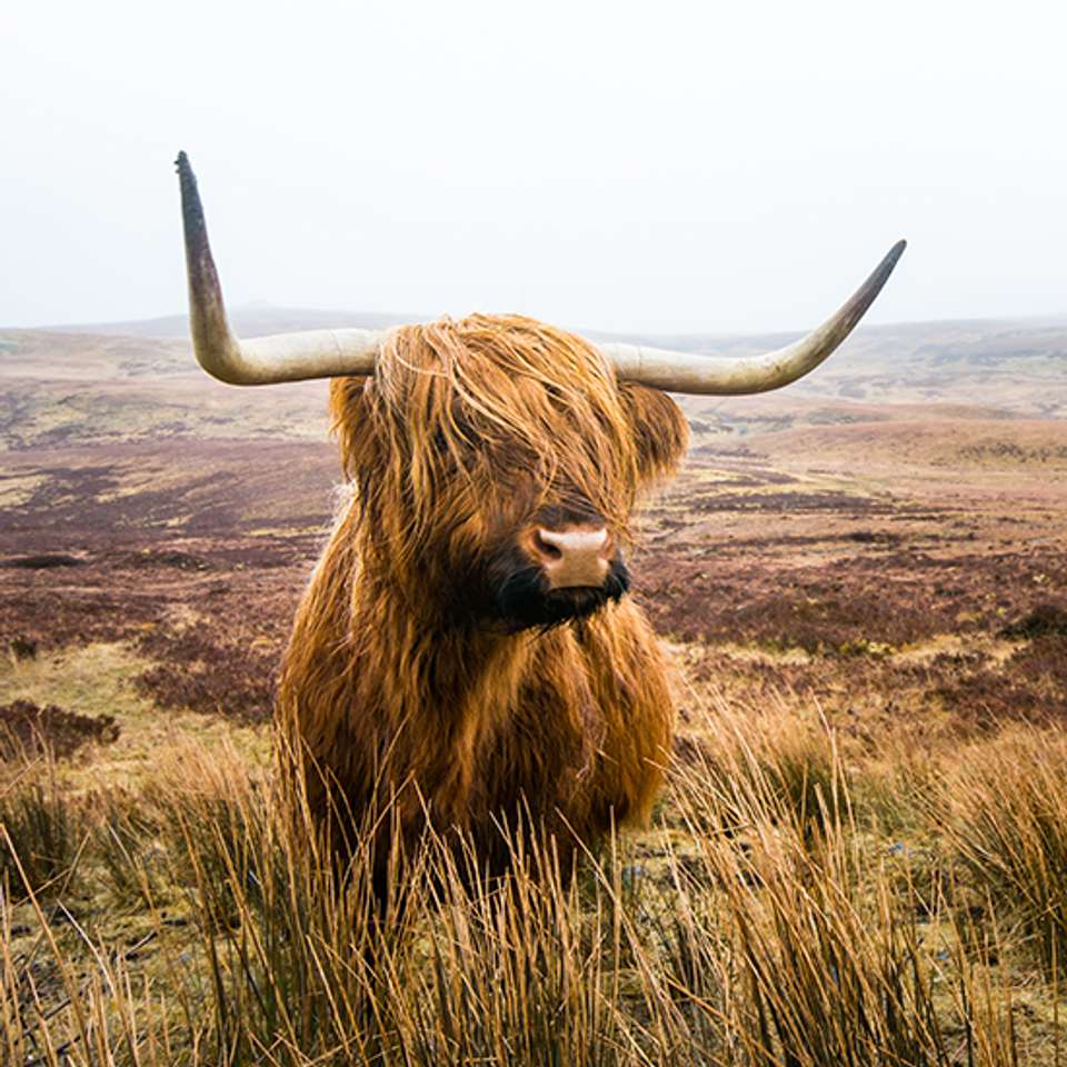 A Scottish Journey - Back-roads Touring - Scotland - Image 5