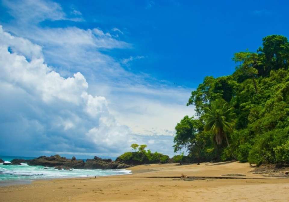 A Taste Of Costa Rica - Indus Travels - Costa Rica - Image 4
