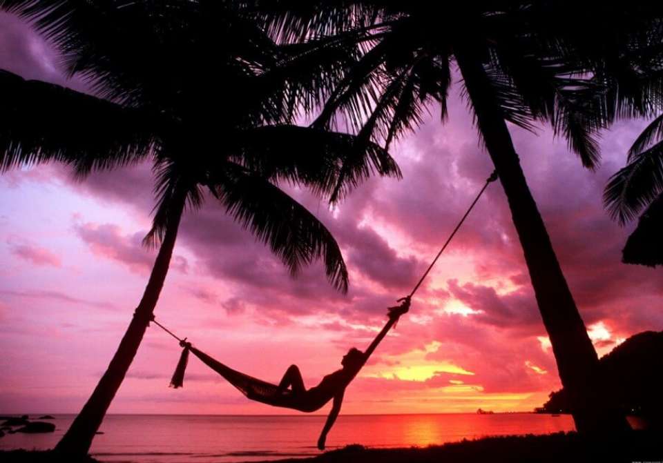 A Taste Of Costa Rica - Indus Travels - Costa Rica - Image 5