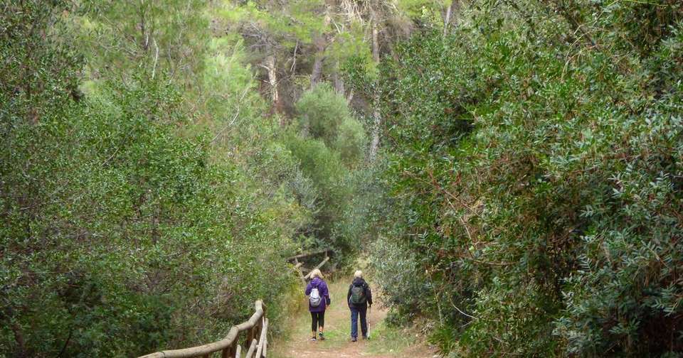 A Taste of Italy - Walking in Puglia - Explore - Italy - Image 13
