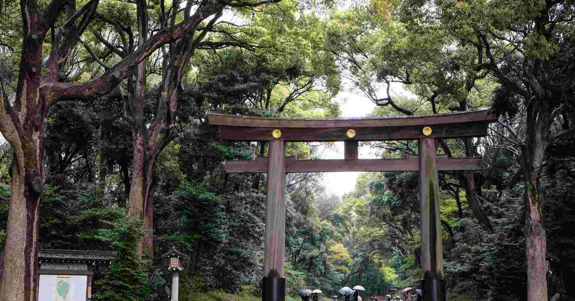 A Taste of Japan - Tokyo, Kyoto and Osaka