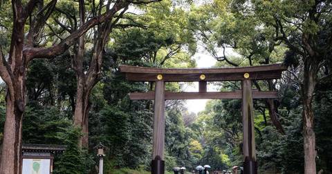 A Taste Of Japan - Tokyo, Kyoto And Osaka - 12 Days