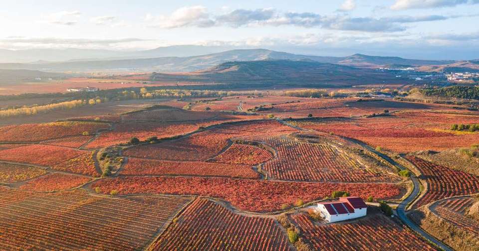 A Taste of Northern Spain: Catalonia and the Basque Country - Explore - Spain - Image 12