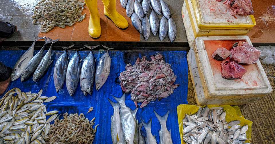 A Taste of Northern Sri Lanka - Jaffna to Colombo - Explore - Sri Lanka - Image 5