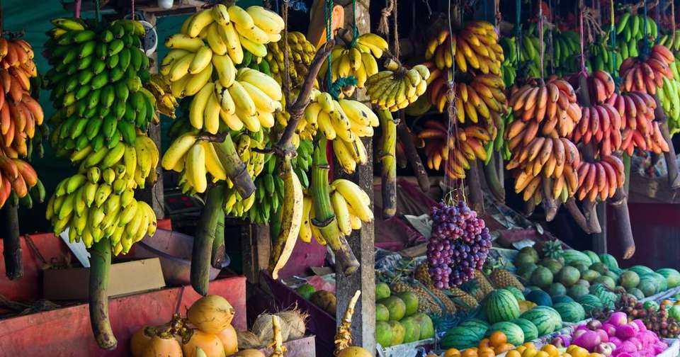 A Taste of Northern Sri Lanka - Jaffna to Colombo - Explore - Sri Lanka - Image 9