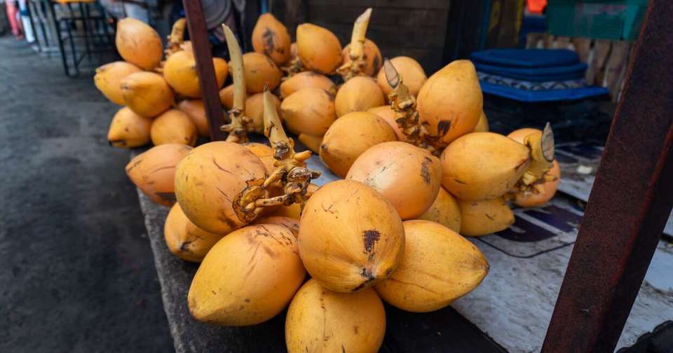 A Taste of Northern Sri Lanka - Jaffna to Colombo - Explore - Sri Lanka - Image 10