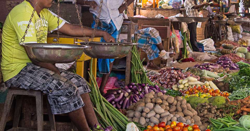 A Taste of Northern Sri Lanka - Jaffna to Colombo - Explore - Sri Lanka - Image 12